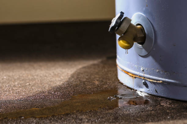 Best Commercial water damage restoration  in Grand Rapids, MI