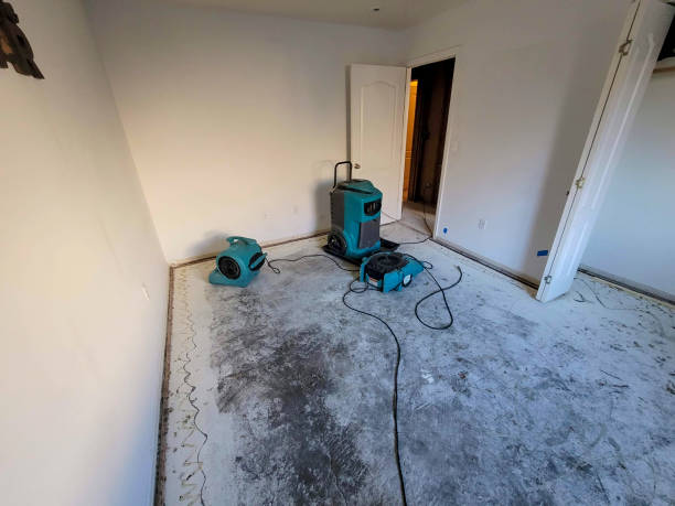 Best Flooded house restoration  in Grand Rapids, MI