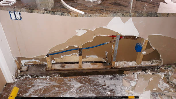 Best Water damage cleanup near me  in Grand Rapids, MI