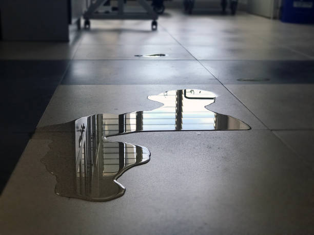 Best Water damage restoration near me  in Grand Rapids, MI