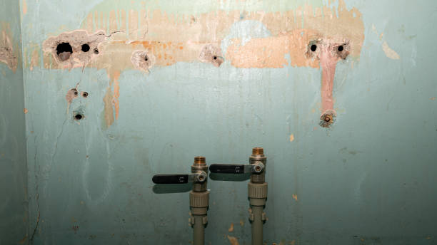 Best Sewage cleanup and water damage restoration  in Grand Rapids, MI