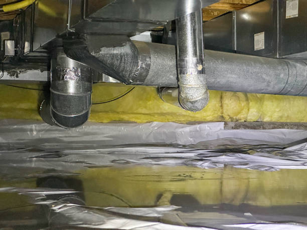 Best Emergency water extraction  in Grand Rapids, MI