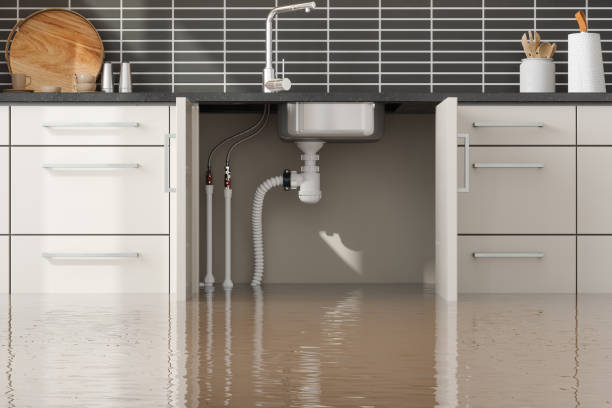 Best Carpet water damage restoration  in Grand Rapids, MI