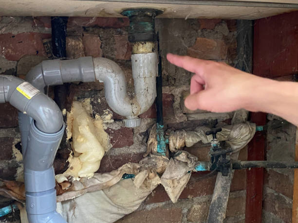 Best Flood damage cleanup  in Grand Rapids, MI