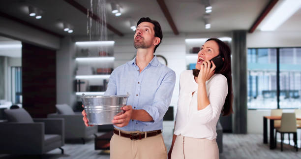 Best Local water damage restoration  in Grand Rapids, MI